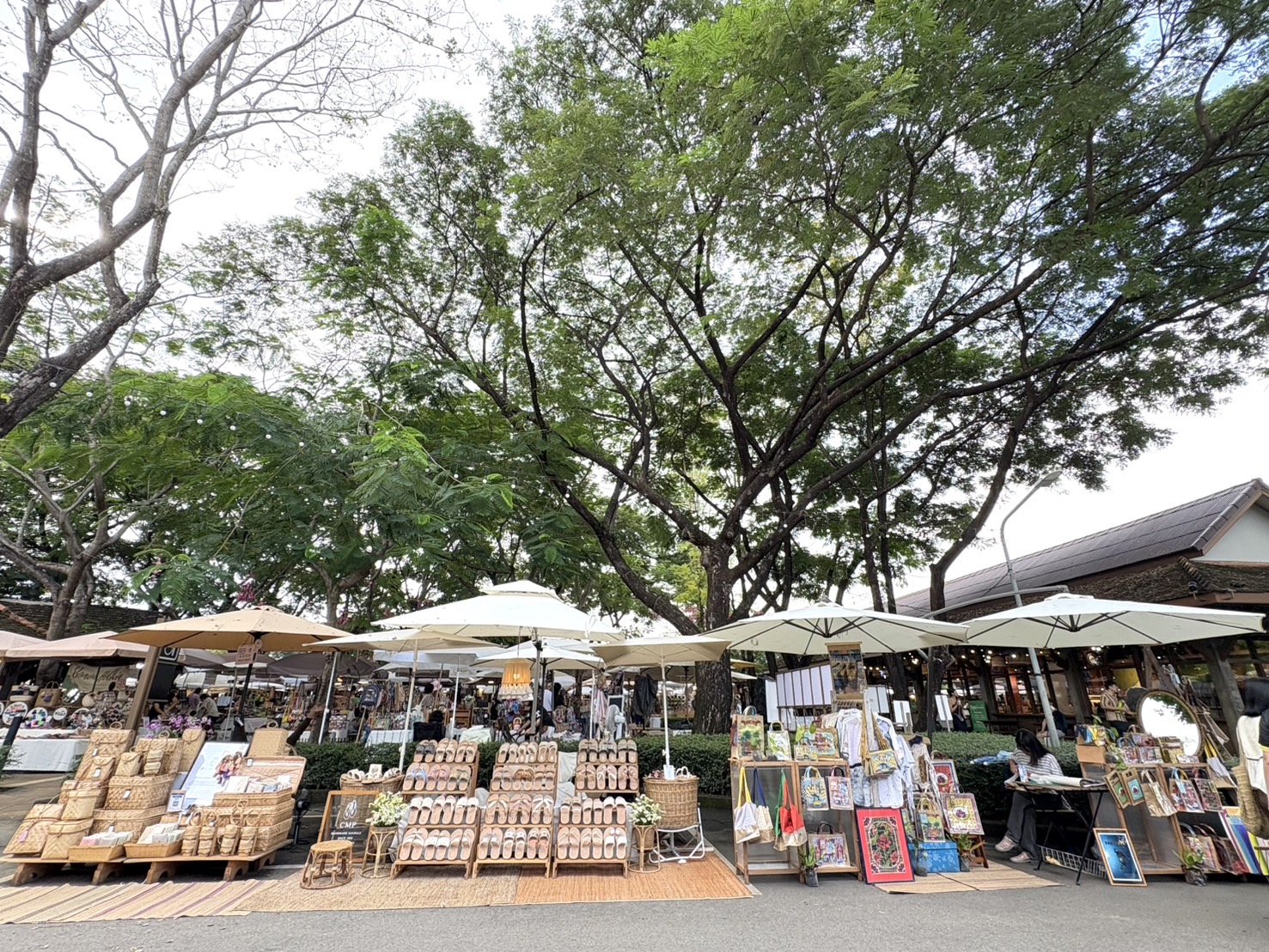 Winter in Chiang Mai: A Craft Lover’s Guide to Slow Travel