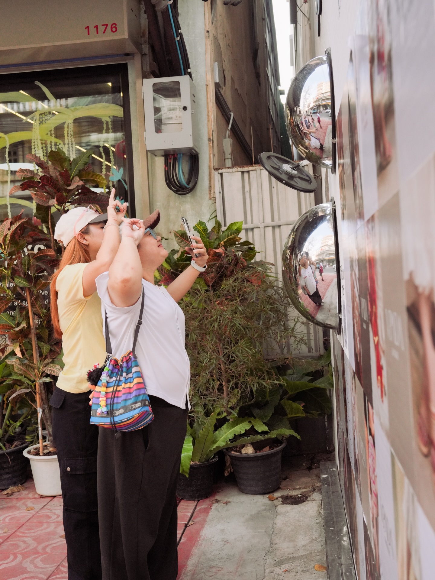 song-what-song-wat-with-VPADA