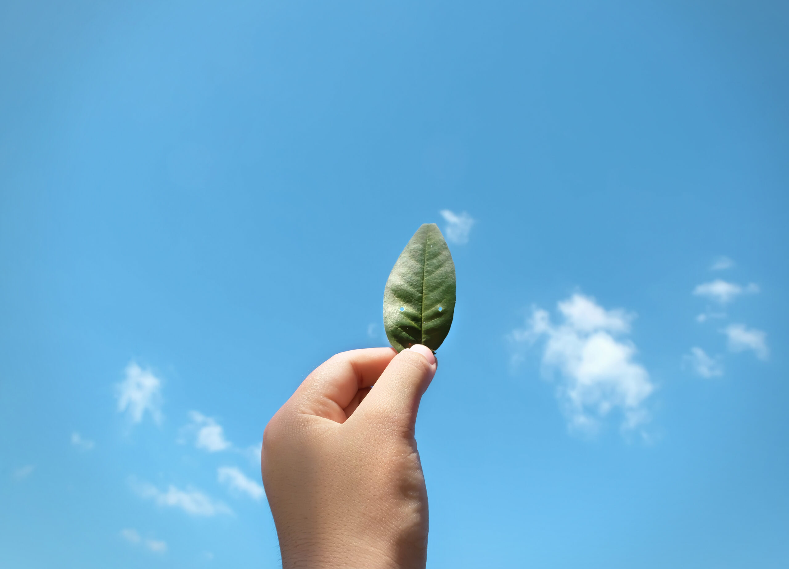 how-ethical-footwear-is-shaping-the-future-of-fashion