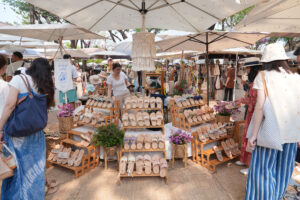 discover-the-charm-of-chiang-mais-rainy-season