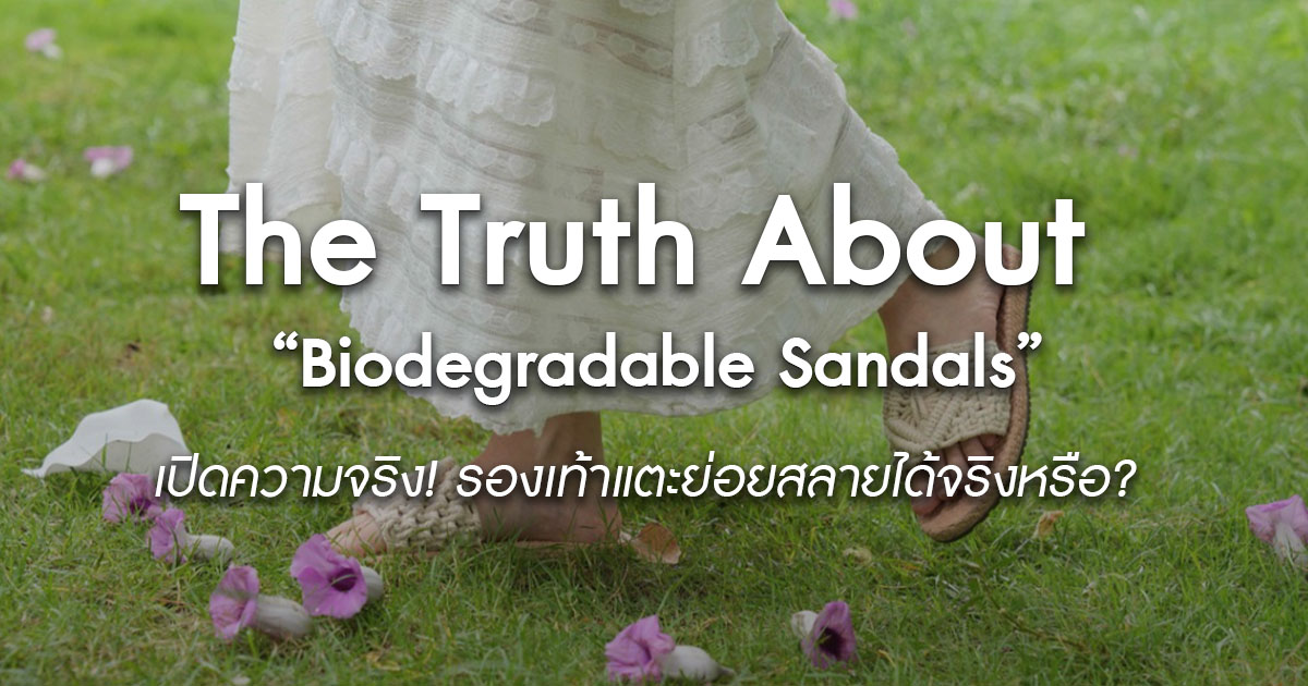 The-Truth-About-Biodegradable-Sandals